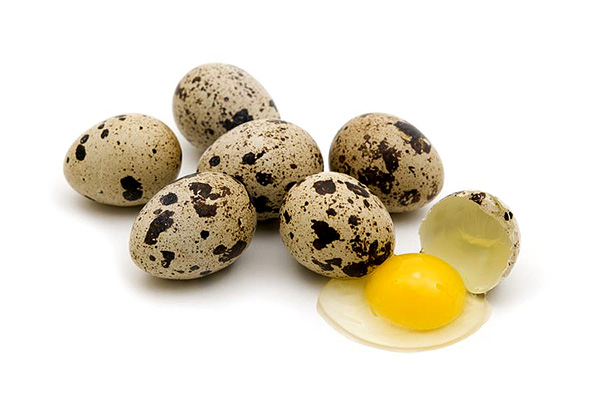 Nếu muốn mẹ bầu có thể thay thế bằng trứng cút, vì hàm lượng chất dinh dưỡng rất cao