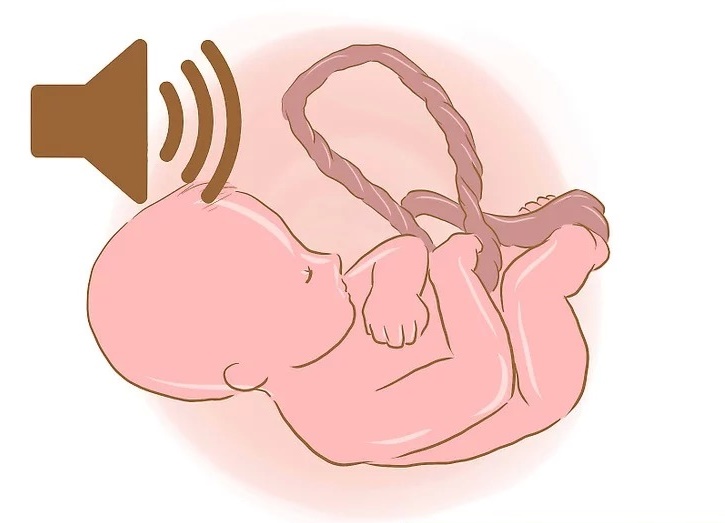 Khi chọn mua tai nghe thai nhi mẹ cần lưu ý đến các thông số kỹ thuật của sản phẩm