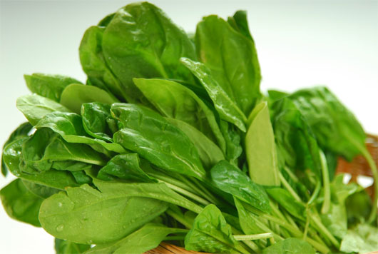 Các loại rau có màu xanh thẫm có chứa một lượng chất sắt đáng kể